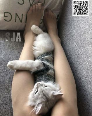 欧美精品一区二区三区潮喷b2_HD动漫免费观看