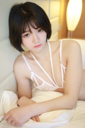 国内精品一区二区三区不卡_DVD在线观看电视
