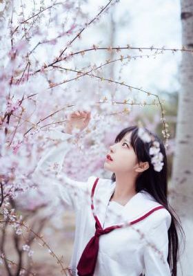欧美高清壁纸男_超清在线播放观看